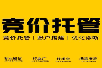 百度竞价推广在电商领域的赚钱案例